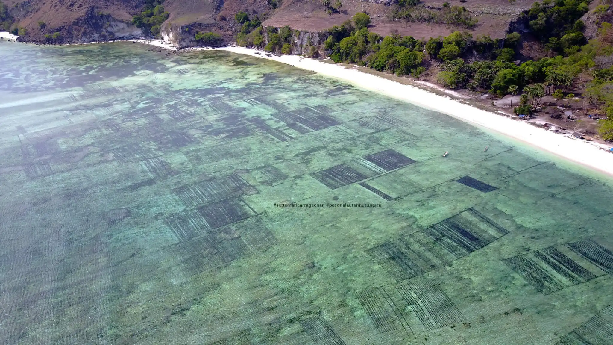 Moko Alor Gallery 17